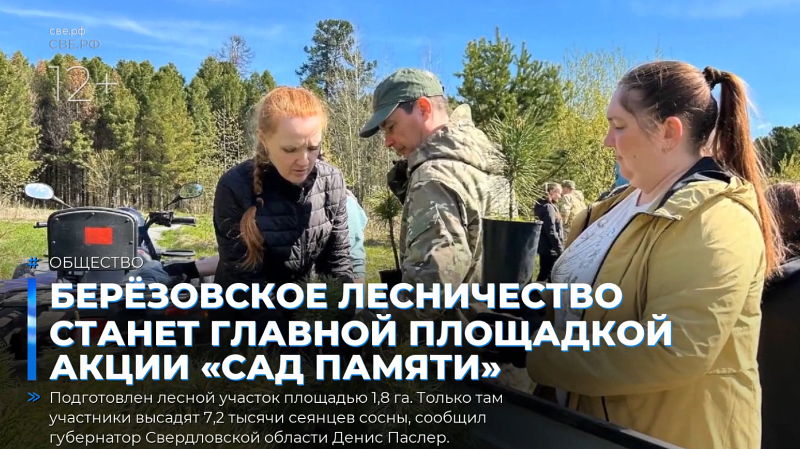 Берёзовское лесничество станет главной площадкой акции «Сад памяти»