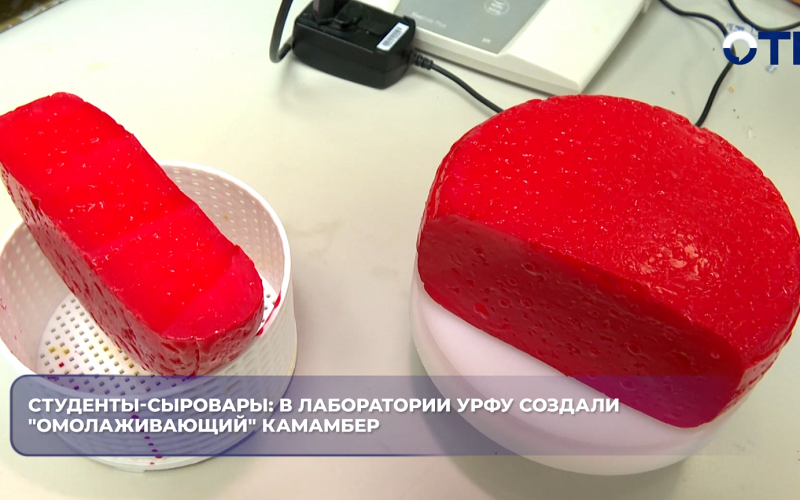 Студенты-сыровары: в лаборатории УрФУ создали "омолаживающий" камамбер