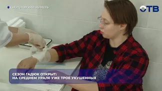 Сезон гадюк открыт: на Среднем Урале уже трое укушенных