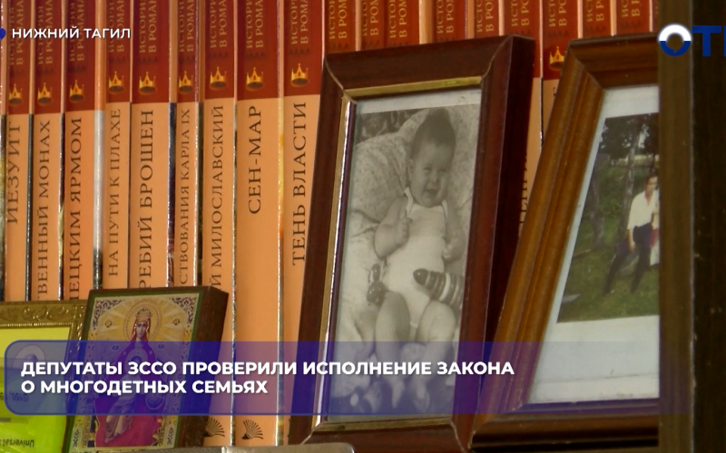 Депутаты Законодательного собрания Свердловской области проверили исполнение закона о многодетных семьях