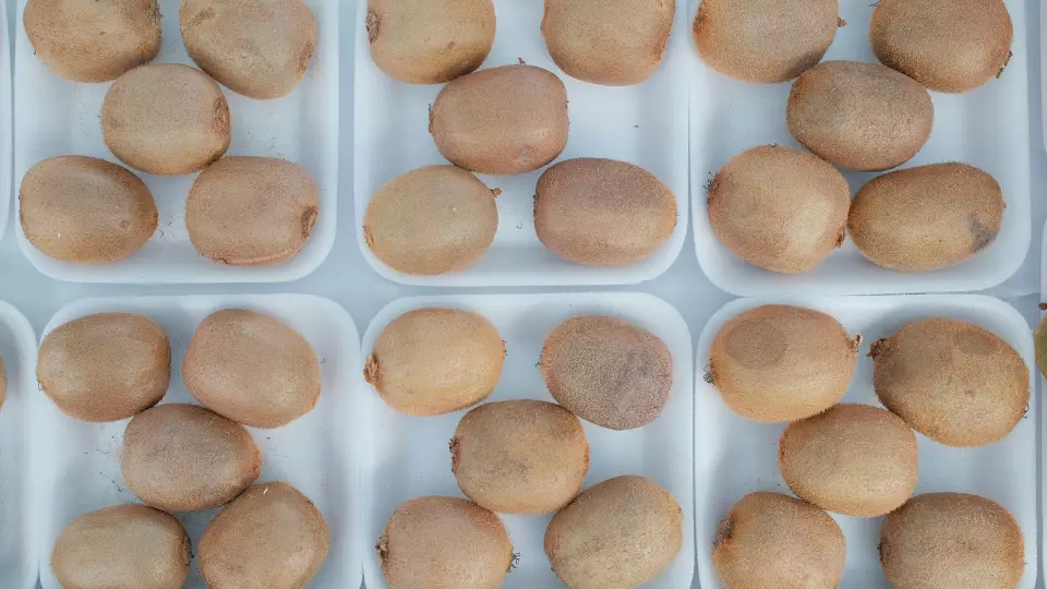 Тонну зараженных киви завезут на Средний Урал из Ирана