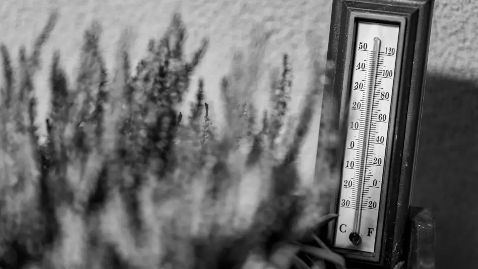 Температура до +31: аномальная майская жара продержится на Урале до конца недели