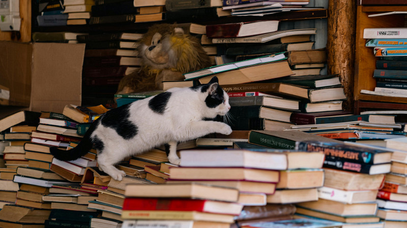 Что почитать? Топ 20 захватывающих книг для летних вечеров