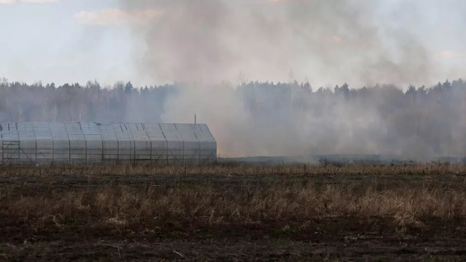 Размер гранта для начинающих сельхозпроизводителей увеличили до 8 млн рублей