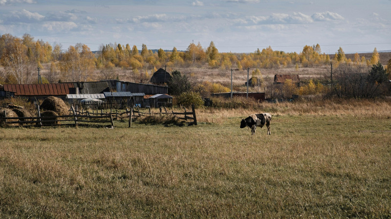 В Нижегородской области обнаружили фиктивную ферму