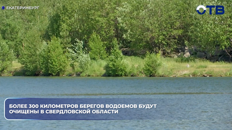 Более 300 километров берегов водоемов будут очищены в Свердловской области