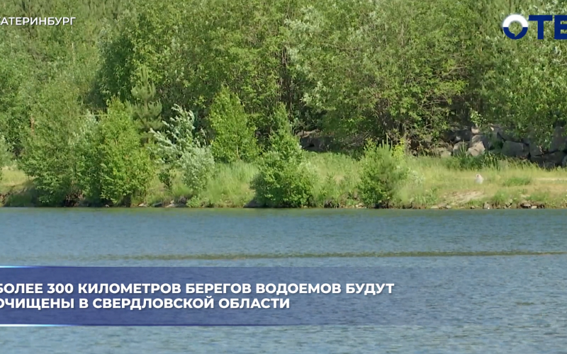 Более 300 километров берегов водоемов будут очищены в Свердловской области