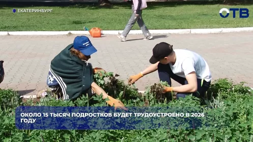 Около 15 тысяч подростков будет трудоустроено в 2026 году