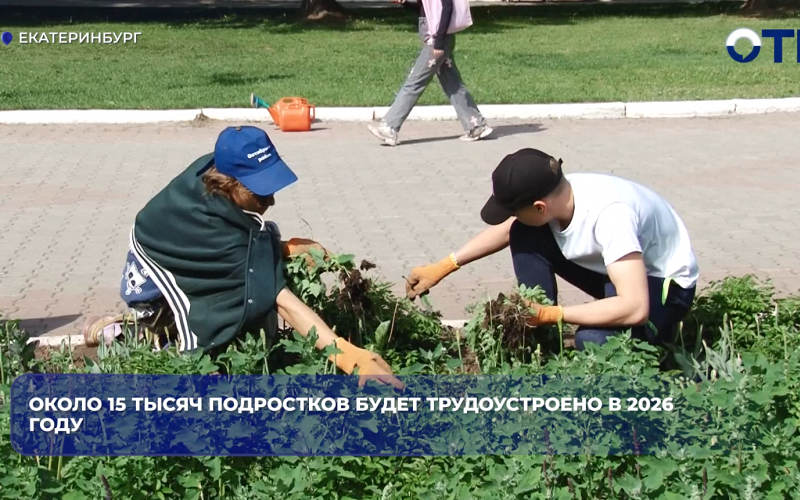 Около 15 тысяч подростков будет трудоустроено в 2026 году