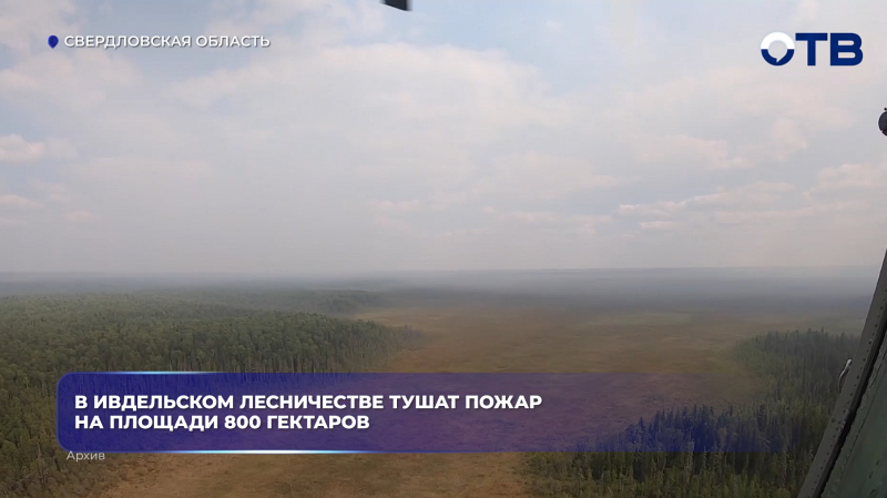 В Ивдельском лесничестве тушат пожар на площади 800 гектаров