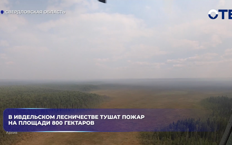 В Ивдельском лесничестве тушат пожар на площади 800 гектаров