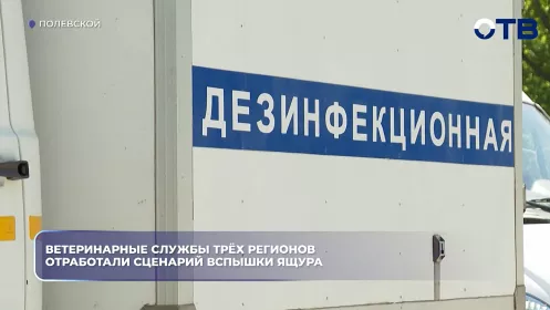 Ветеринарные службы трёх регионов отработали сценарий вспышки ящура