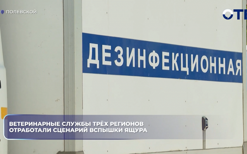 Ветеринарные службы трёх регионов отработали сценарий вспышки ящура