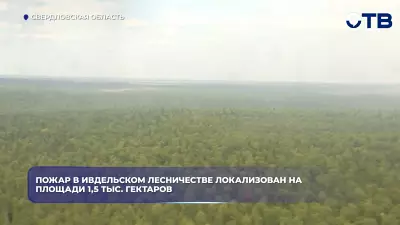 Пожар в Ивдельском лесничестве локализован на площади 1,5 тыс. гектаров