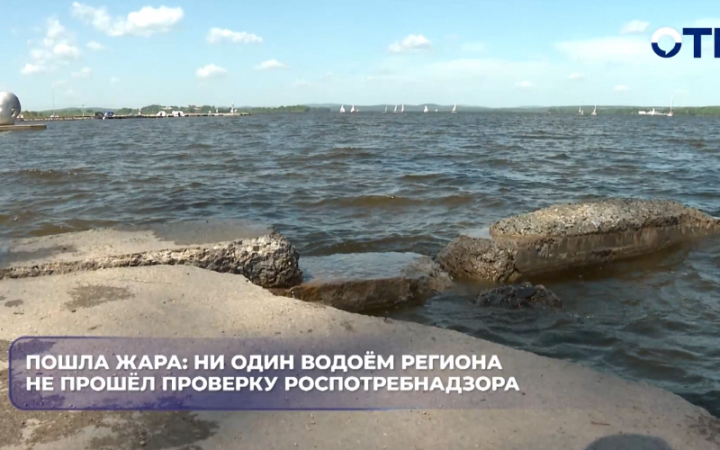 Пошла жара: ни один водоём региона не прошёл проверку Роспотребнадзора
