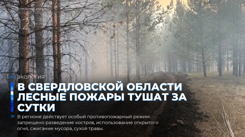 В Свердловской области лесные пожары тушат за сутки