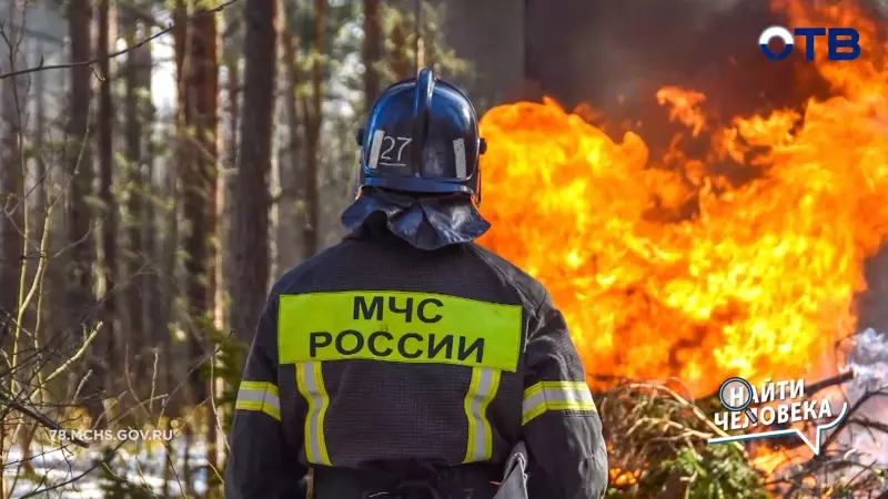 «Я заблудился»: что делать, если пропал близкий и как не потеряться самому