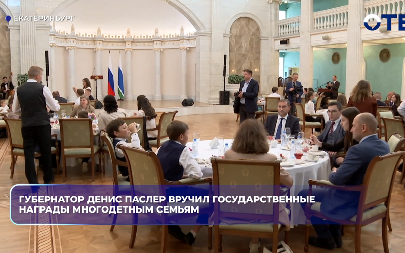 Губернатор Денис Паслер вручил государственные награды многодетным семьям