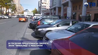 В Госдуме предложили сверять знак «Инвалид» с реестром