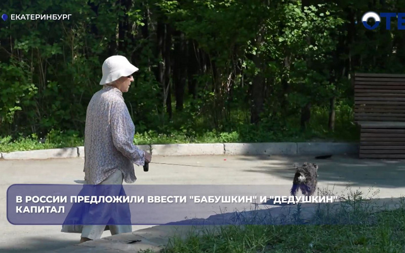 В России предложили ввести «бабушкин» и «дедушкин» капитал