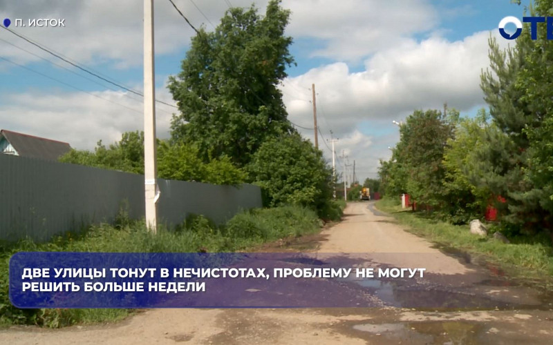 В посёлке Исток нечистоты затопили дома из-за поврежденной трубы