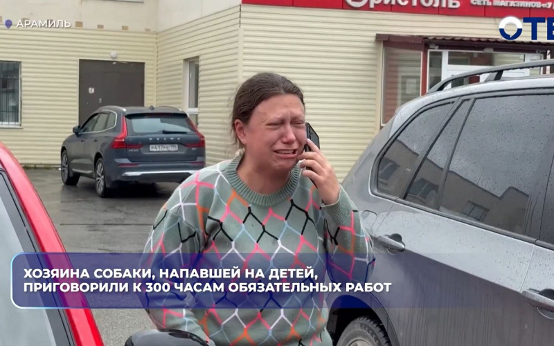 Хозяин собаки, напавшей на детей в Арамиле, получил 300 часов обязательных работ