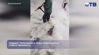 МЧС предупредило об опасности поджога тополиного пуха на Урале