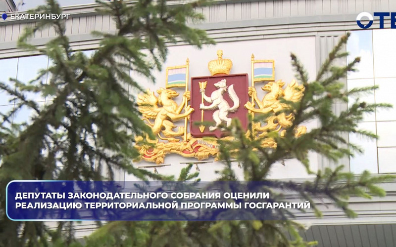 Депутаты Законодательного собрания оценили реализацию территориальной программы госгарантий