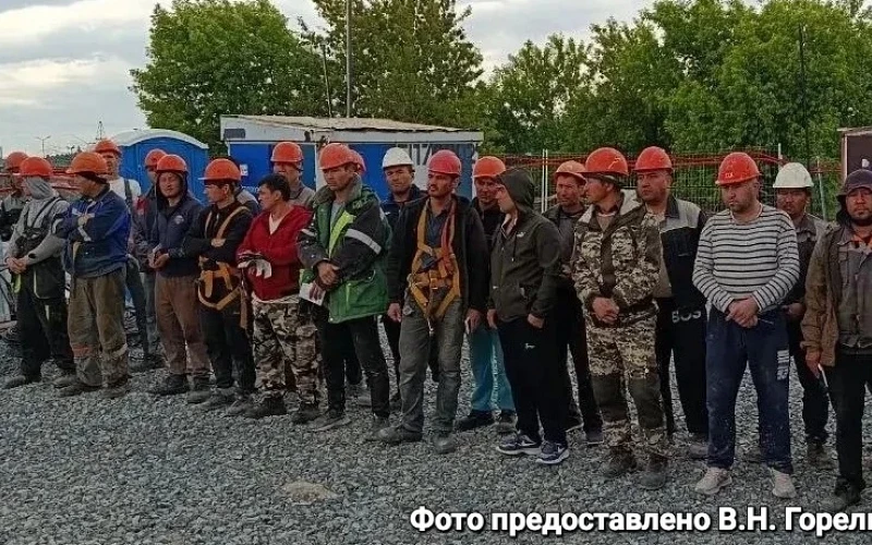 Нелегальные мигранты фасовали рыбу и хранили наркотики в Свердловской области