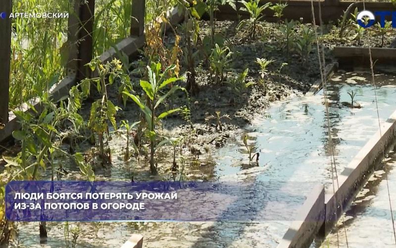 Огороды в Артёмовском ушли под воду: подтоплены около 100 участков