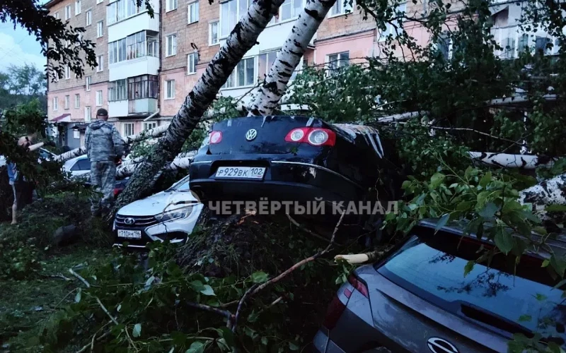 6 человек пострадали от урагана в Кушве: в округе ввели режим ЧС