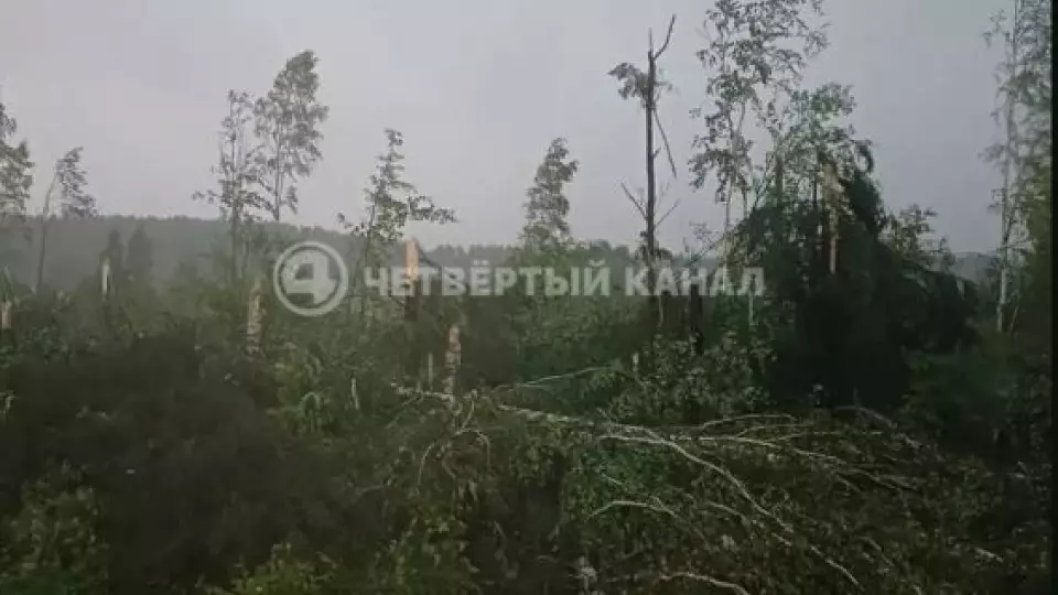 Поезда в Кушве встали из-за поваленных деревьев и опорных столбов