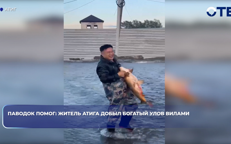 Житель Атига поймал рыбу вилами в разлившейся после дождей реке