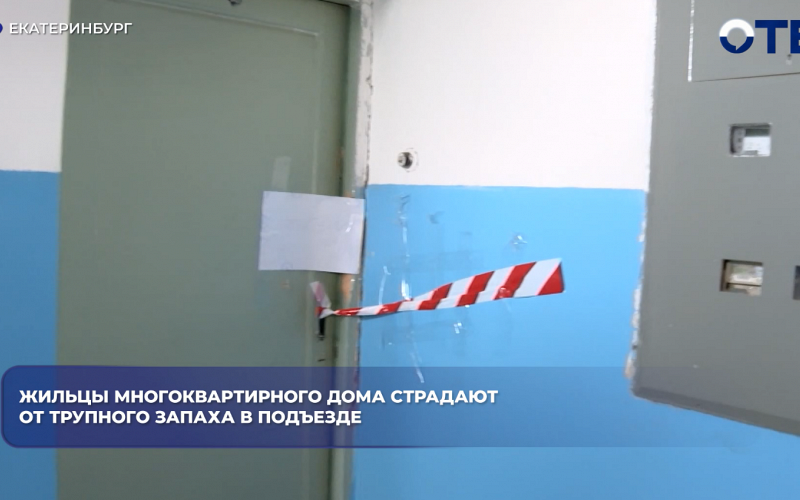 Жильцы дома в Чкаловском районе более недели страдают от трупного запаха