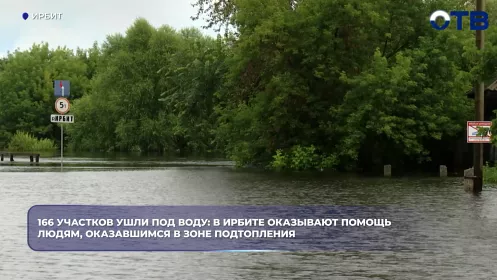 Спасатели с котом Аркадием вытаскивают жителей Ирбита из затопленных домов