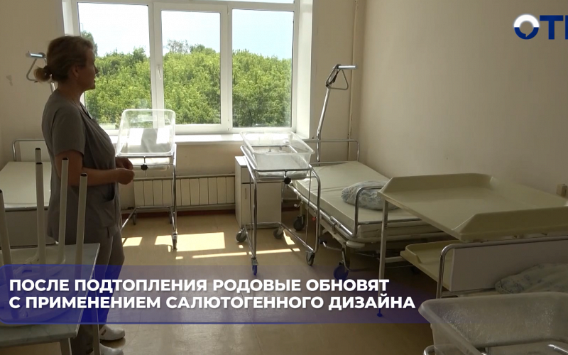 Роддом в Каменске-Уральском после потопа отремонтируют по технологии салютогенного дизайна