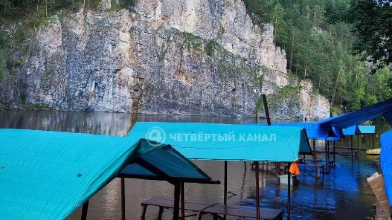 Рухнувшее дерево убило туристку под Нижним Тагилом