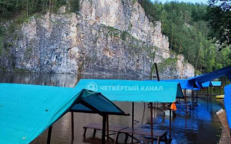 Рухнувшее дерево убило туристку под Нижним Тагилом