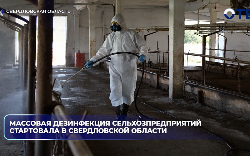 На Среднем Урале после паводка дезинфицируют сельхозпредприятия в пяти районах