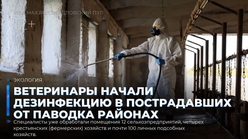Ветеринары начали дезинфекцию в пострадавших от паводка районах