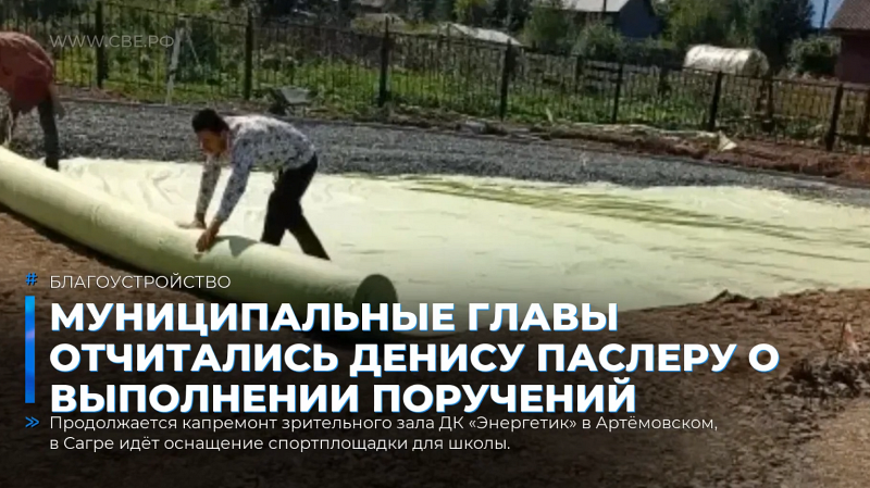 Муниципальные главы отчитались Денису Паслеру о выполнении поручений