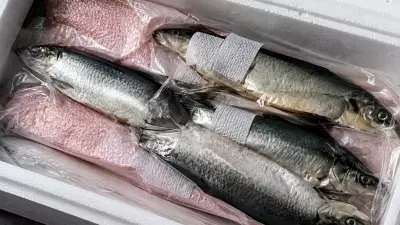 Из Свердловской области в ОАЭ отправили более 300 кг рыбы и морепродуктов