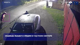 Медведь вышел к людям в частном секторе