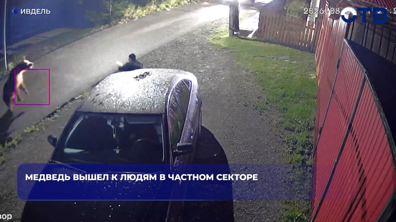 Медведь вышел к людям в частном секторе