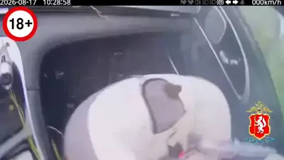Момент гибели младенца на трассе Екатеринбург-Тюмень попал на видео