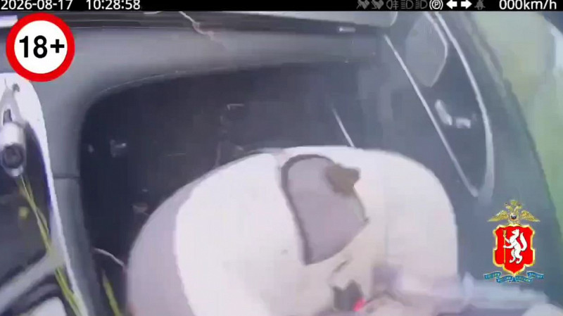 Момент гибели младенца на трассе Екатеринбург-Тюмень попал на видео