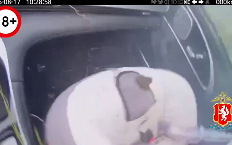 Момент гибели младенца на трассе Екатеринбург-Тюмень попал на видео