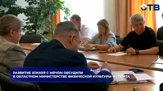 Развитие хоккея с мячом обсудили в областном министерстве физической культуры и спорта