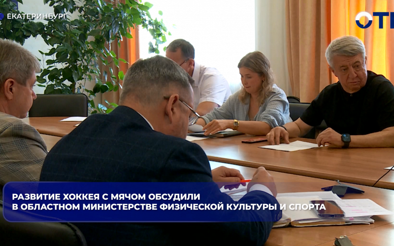 Развитие хоккея с мячом обсудили в областном министерстве физической культуры и спорта
