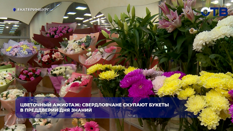 Цветочный ажиотаж: свердловчане скупают букеты в преддверии Дня знаний